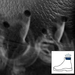 Σύστημα Climate