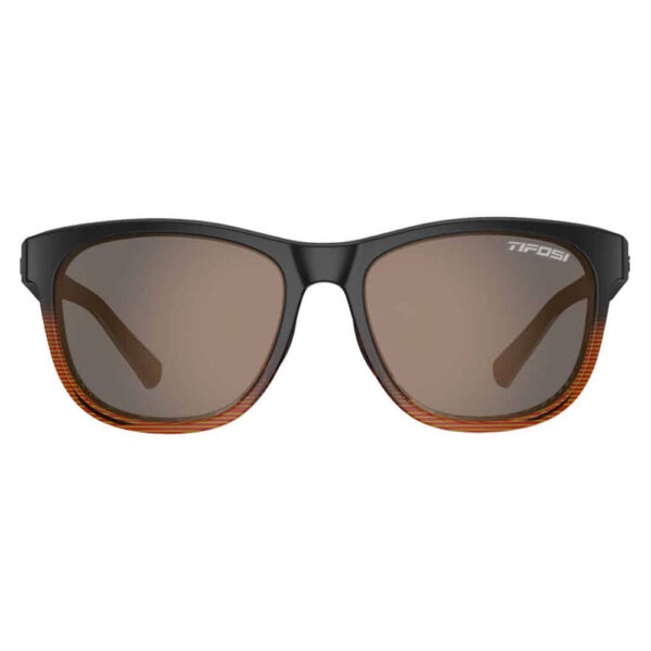 Γυαλιά Ηλίου Tifosi Swank Brown Fade