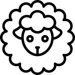 Παρθένο Μαλλί Υψηλής Ποιότητας